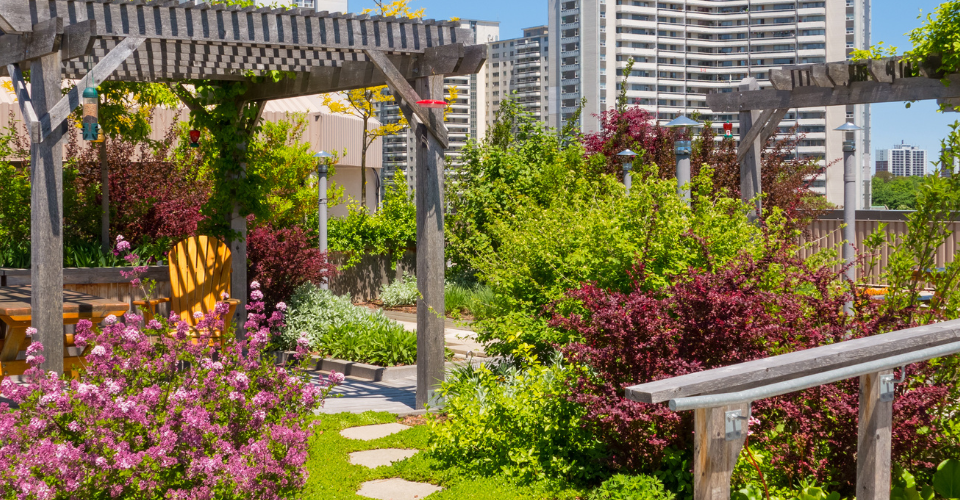 Residential Shared Spaces