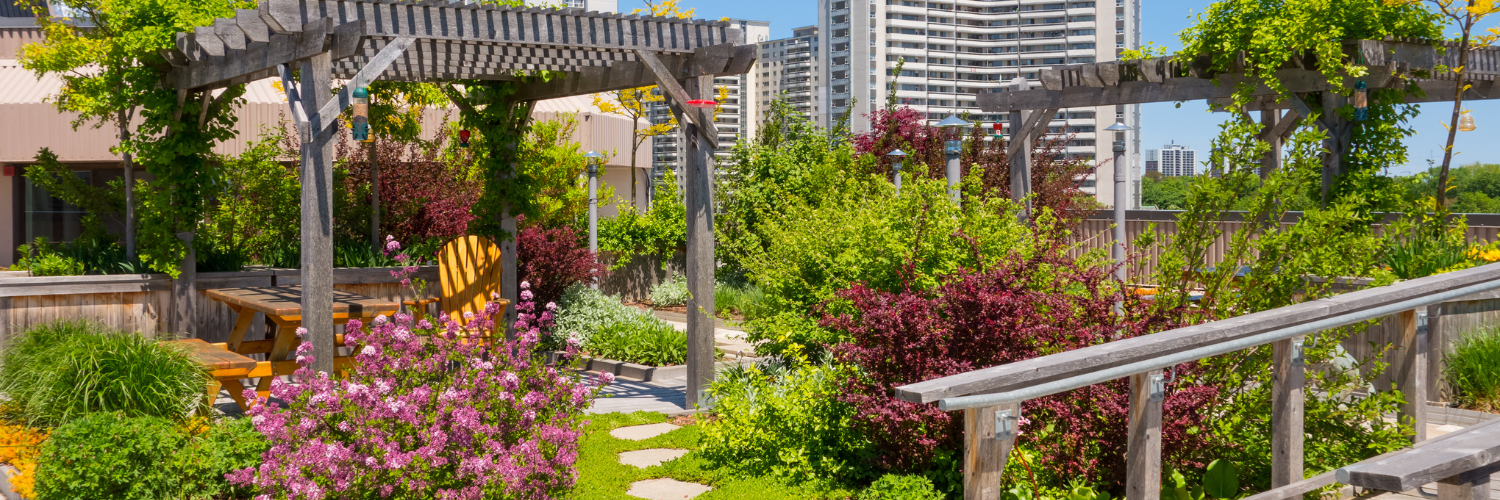 Residential Shared Spaces